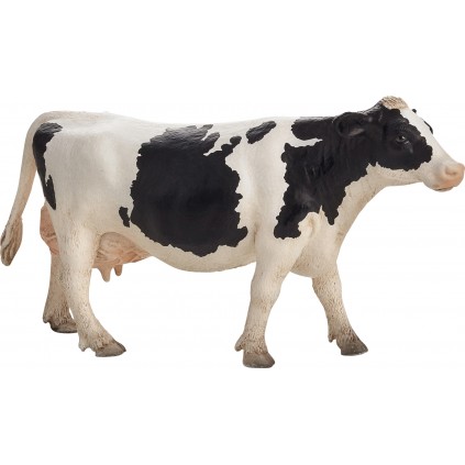Ku, Holstein
